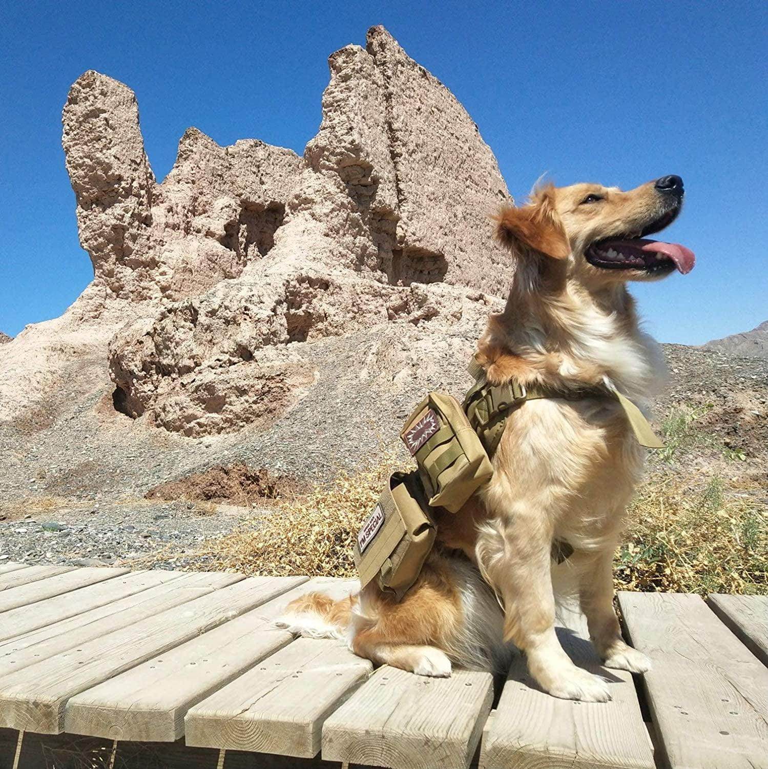 Tactical Dog Molle Vest Harness K9 Adjustable Outdoor Training Service Camouflage Harness with 3 Detachable Pouches Camouflage Size XL - Simply Petastic