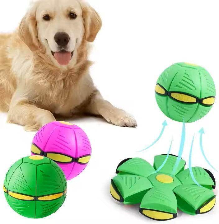 Dog Flying Saucer Ball - Simply Petastic