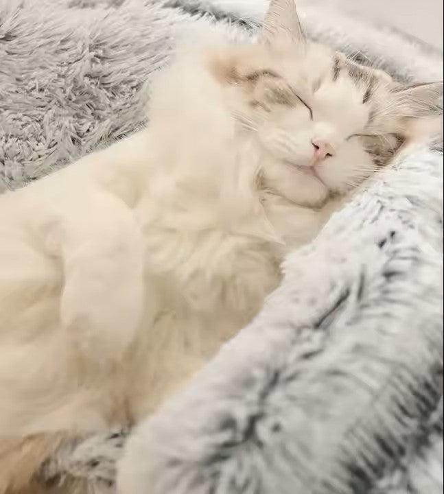 Cat Round Plush Fluffy Hooded Cozy Small Dog Waterproof Bottom Treaded Anti-anxiety Hugging Beds - Simply Petastic