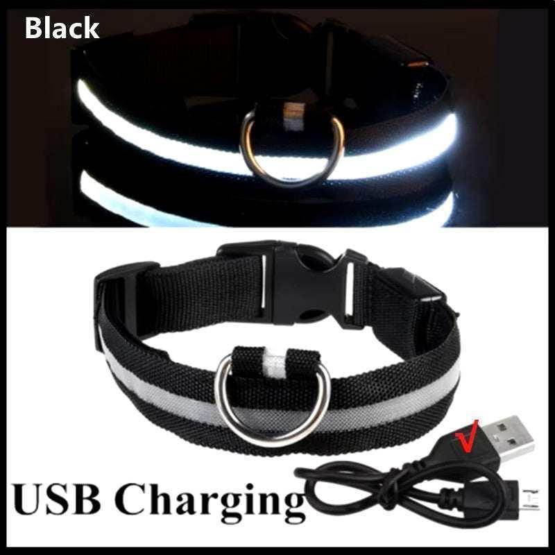 Rechargeable L.E.D Light Up Safety Dog Collar - Simply Petastic