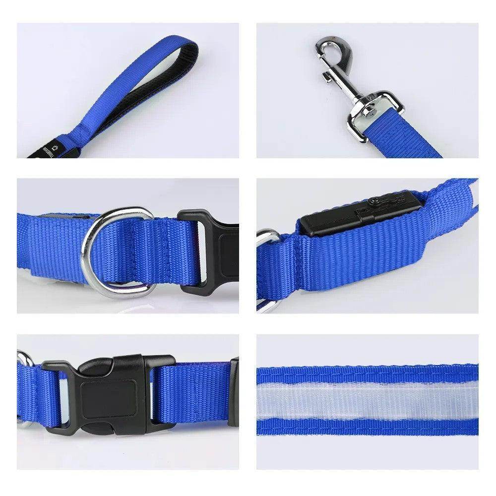 LED Rechargeable Dog Leash - Simply Petastic