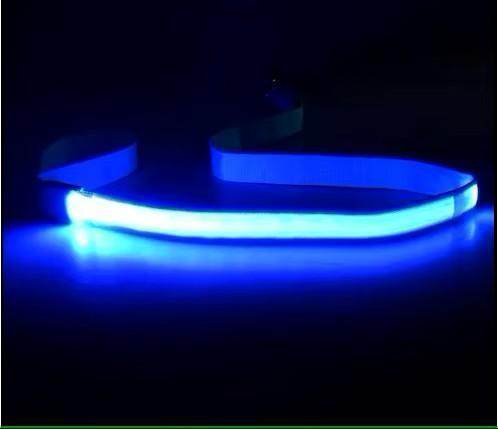 LED Rechargeable Dog Leash - Simply Petastic