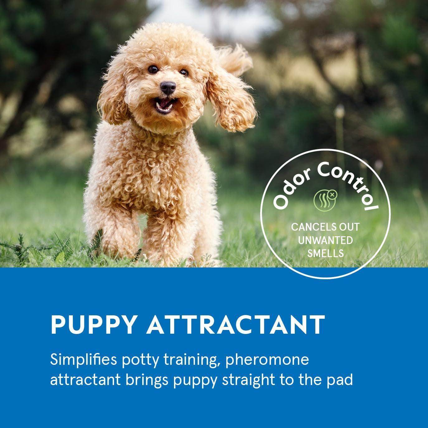 Pet Training Pads for Dogs - 100 Count, 22" x 22" Leak-Proof Puppy Potty Pads with Quick-Dry Surface - Simply Petastic