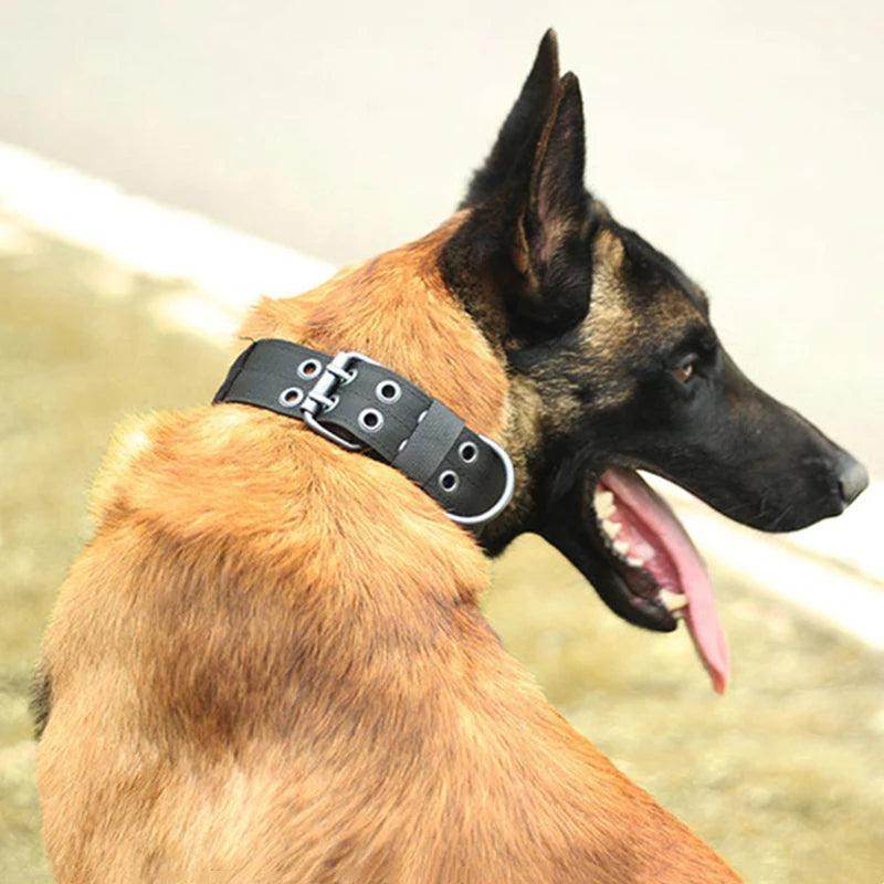 2" Wide Tactical Heavy Duty Nylon Large Dog Collar K9 Military with Metal Buckle - Simply Petastic
