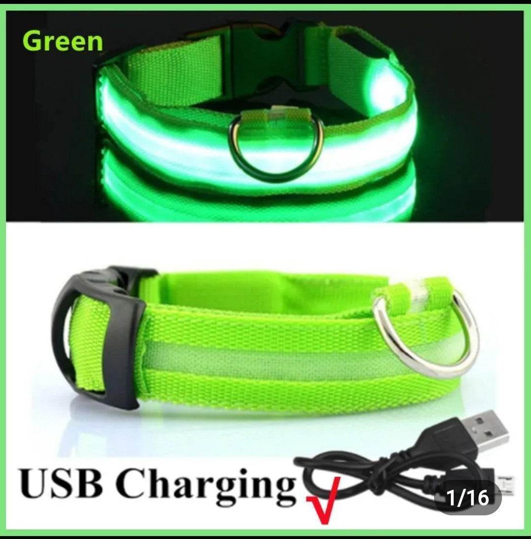 Rechargeable L.E.D Light Up Safety Dog Collar - Simply Petastic