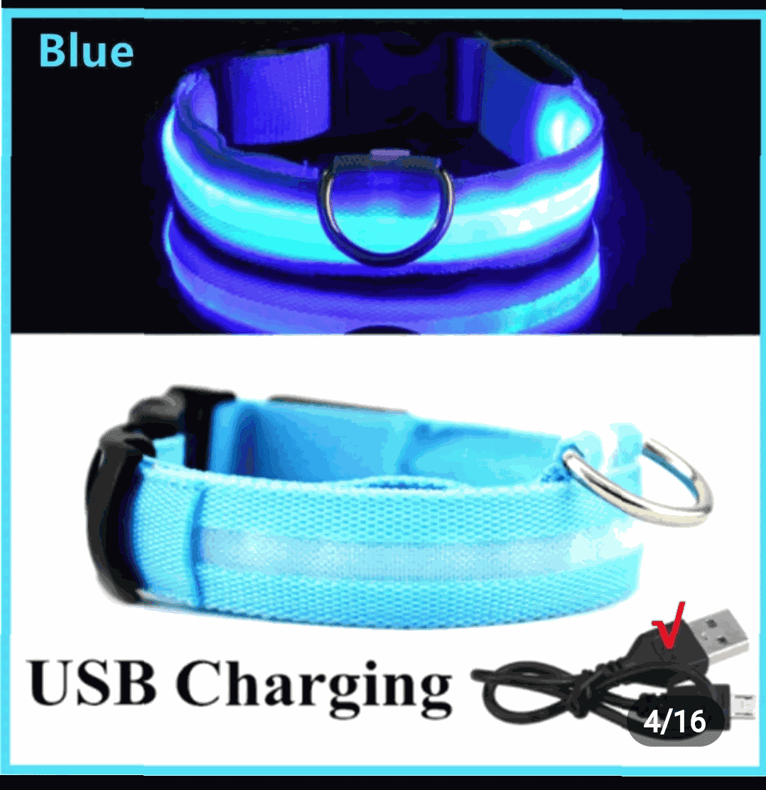 Rechargeable L.E.D Light Up Safety Dog Collar - Simply Petastic