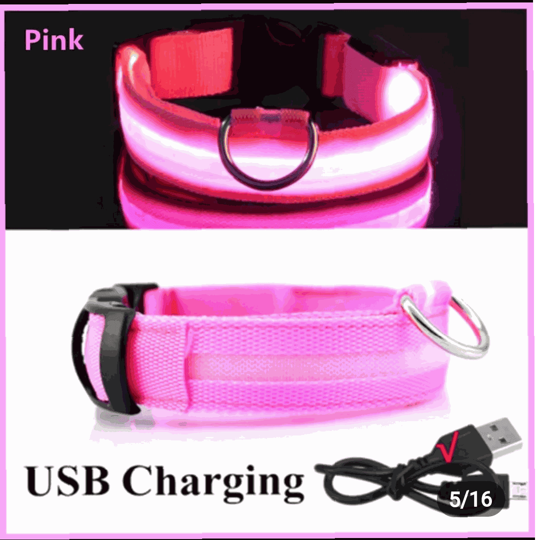 Rechargeable L.E.D Light Up Safety Dog Collar - Simply Petastic