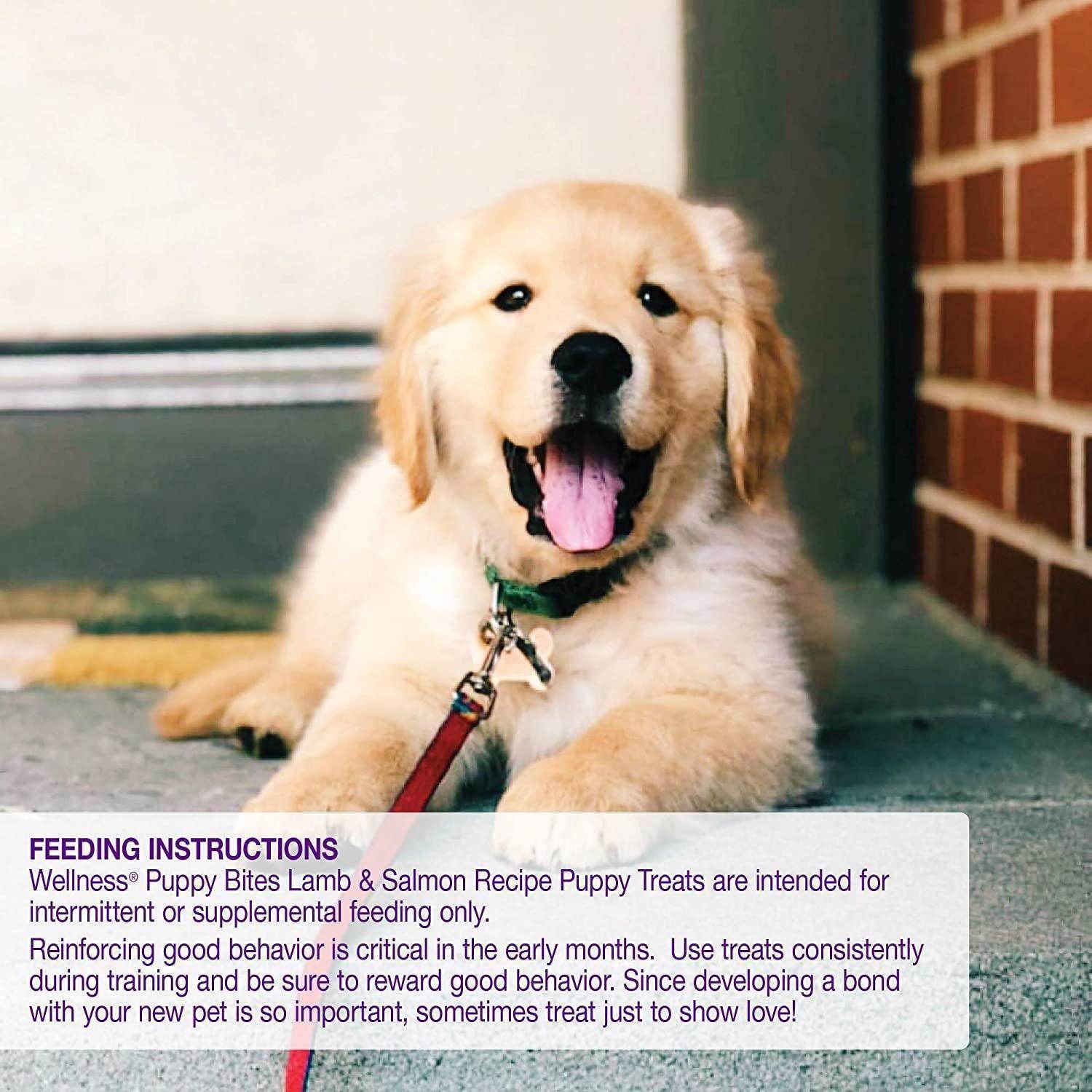 wellness Soft Puppy Bites Grain-Free Dog Treats with Real Lamb & Salmon, DHA, and No Artificial Flavors - 3 oz Bag" - Simply Petastic