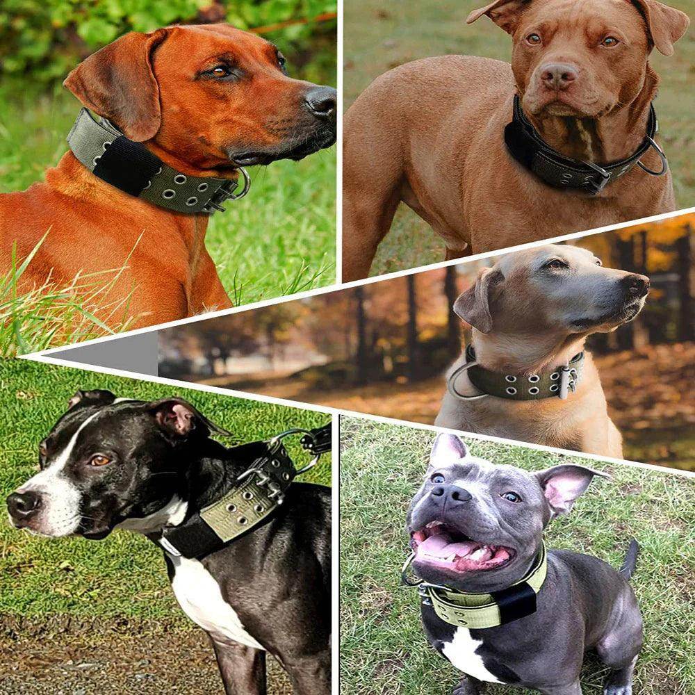 2" Wide Tactical Heavy Duty Nylon Large Dog Collar K9 Military with Metal Buckle - Simply Petastic