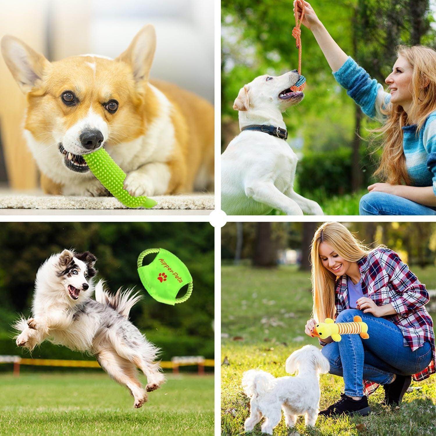 Dog Puppy Toys 23 Pack, Puppy Chew Toys for Fun and Teeth Cleaning, Dog Squeak Toys,Treat Dispenser Ball, Tug of War Toys, Puppy Teething Toys, Dog Rope Toys Pack for Medium to Small Dogs - Simply Petastic