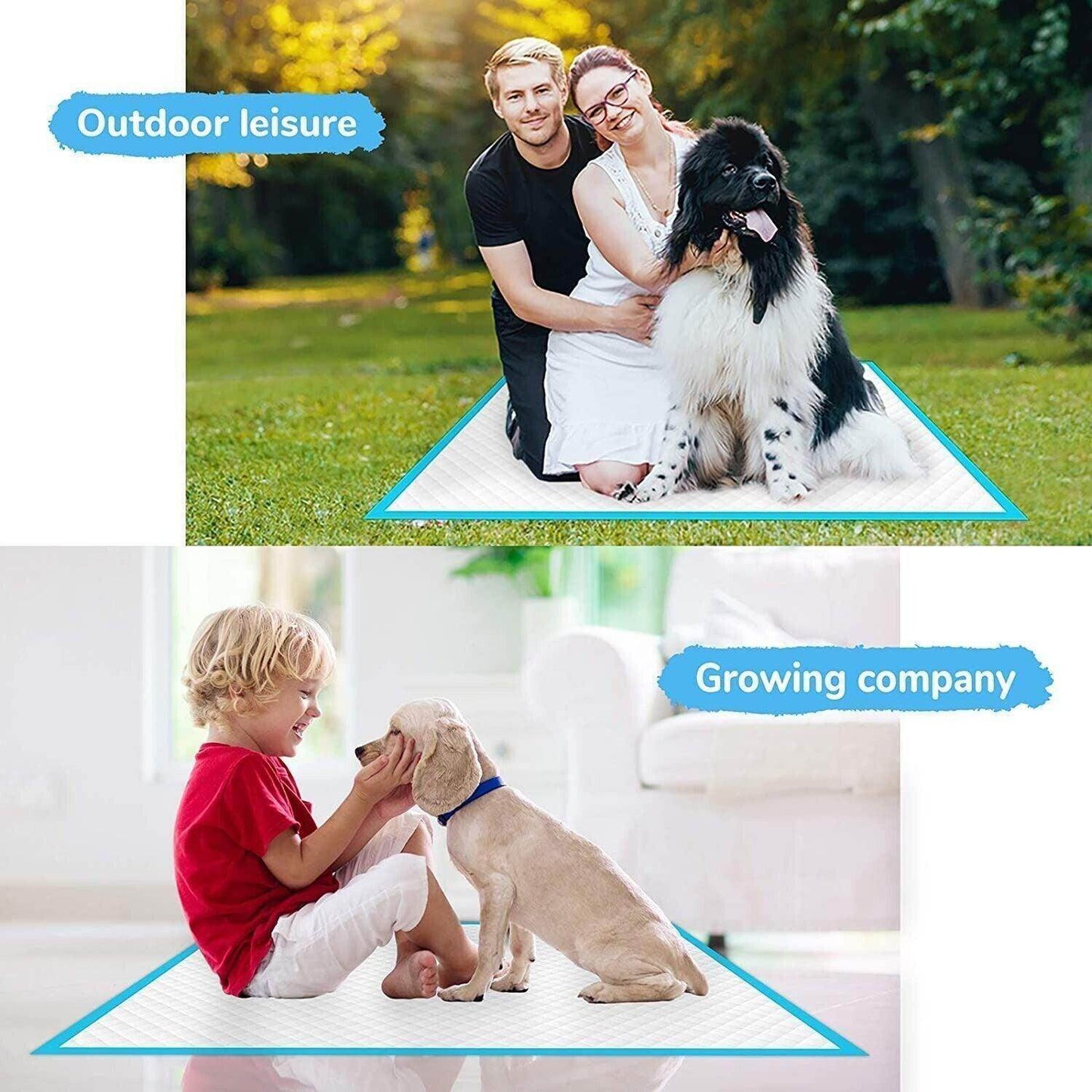 100PCS XL Dog Pads PEE Puppy Training Underpads House Ultra Heavy US - Simply Petastic