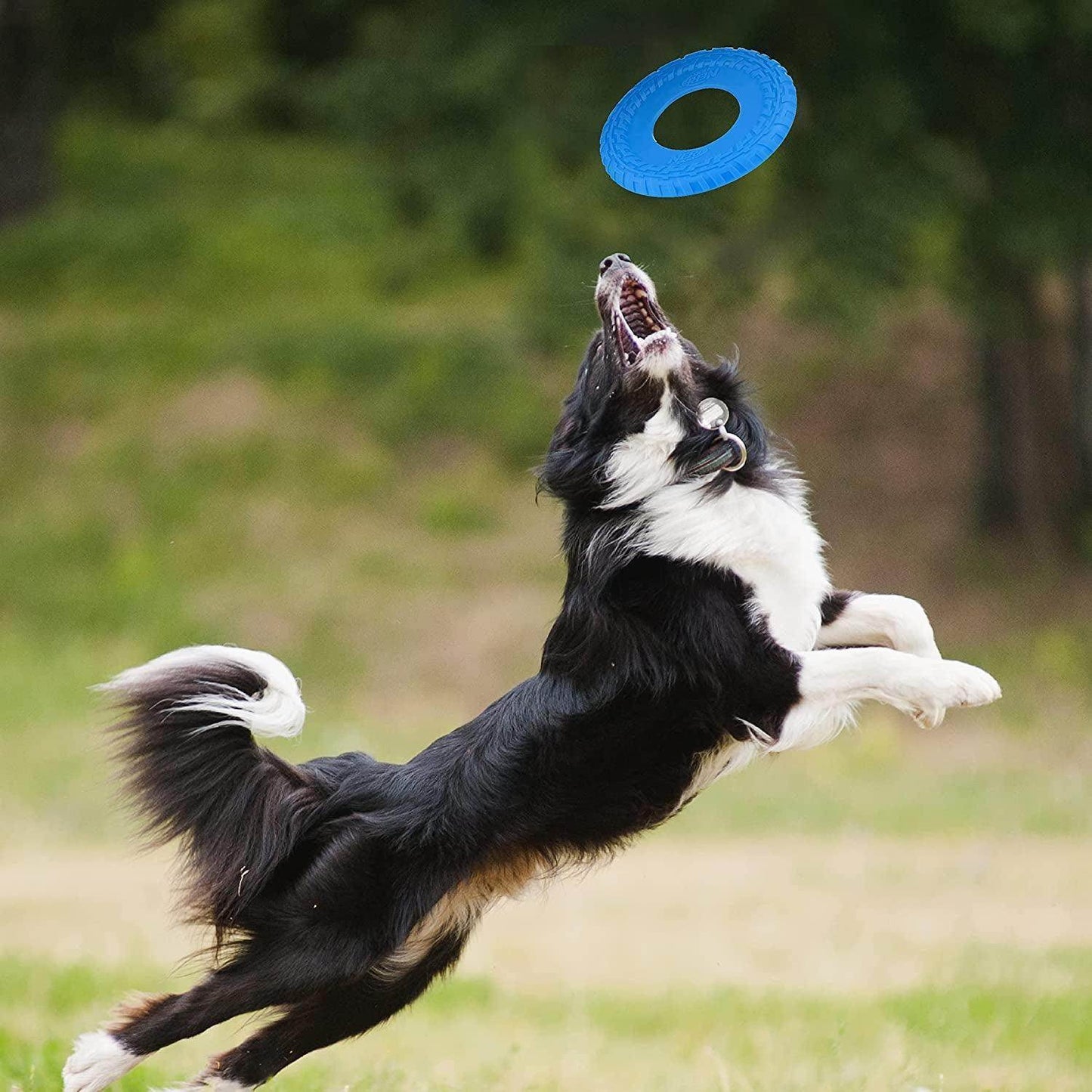 NERF Dog Rubber Tire Flyer Dog Frisbee Toy - Simply Petastic