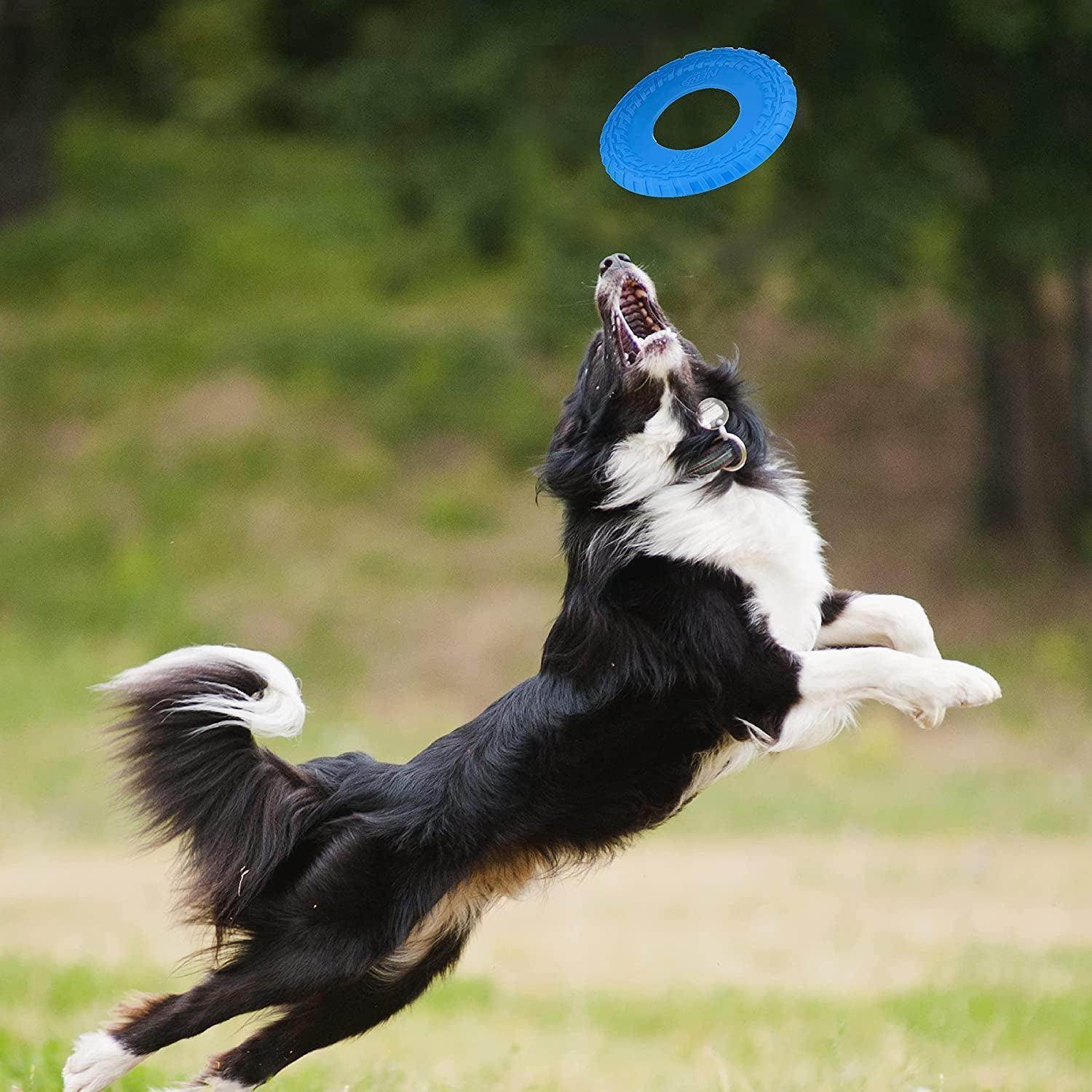NERF Dog Rubber Tire Flyer Dog Frisbee Toy - Simply Petastic
