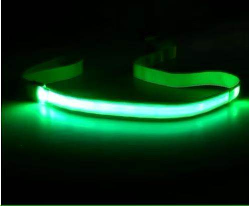 LED Rechargeable Dog Leash - Simply Petastic