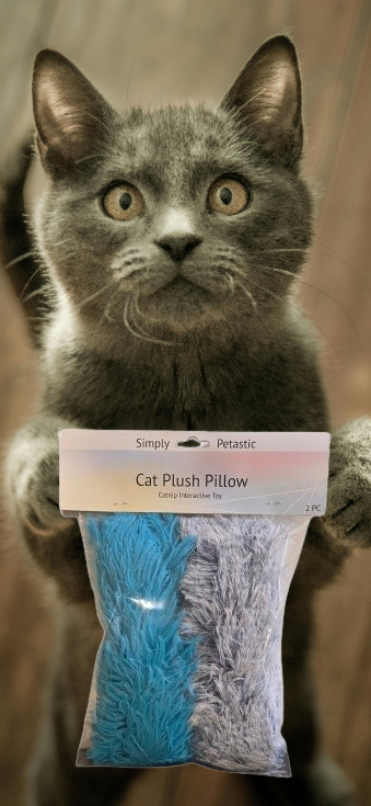 Plush Nibbles Catnip Pillows (2pc)