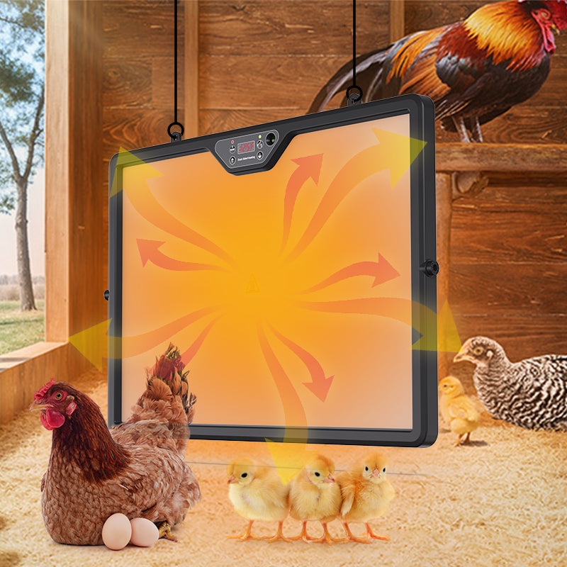 Dual Sides Temperature Display Poultry Coop Heater Chicks Warmer 35 Chick Brooder Heater