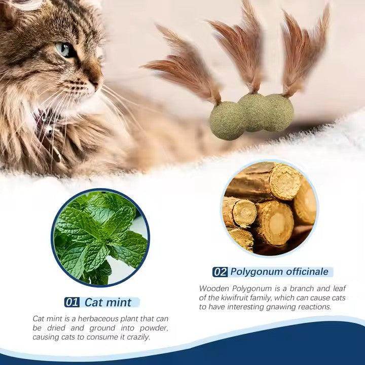 Feathered Catnip Mint Toys (3pc) - Simply Petastic