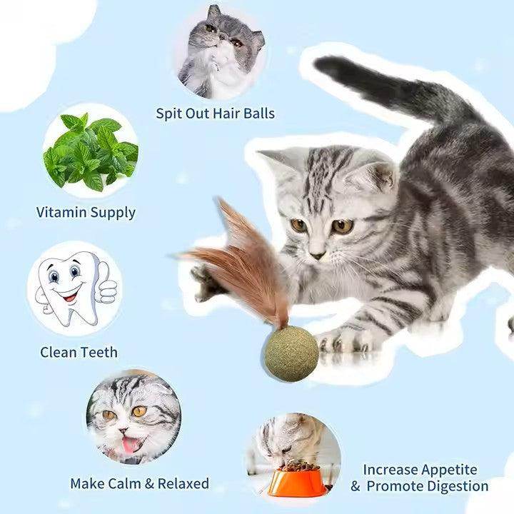 Feathered Catnip Mint Toys (3pc) - Simply Petastic