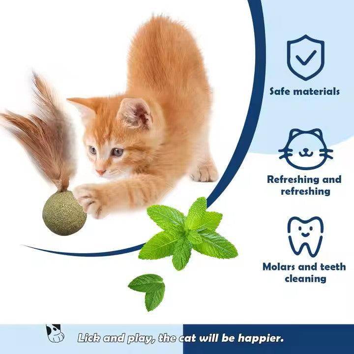 Feathered Catnip Mint Toys (3pc) - Simply Petastic