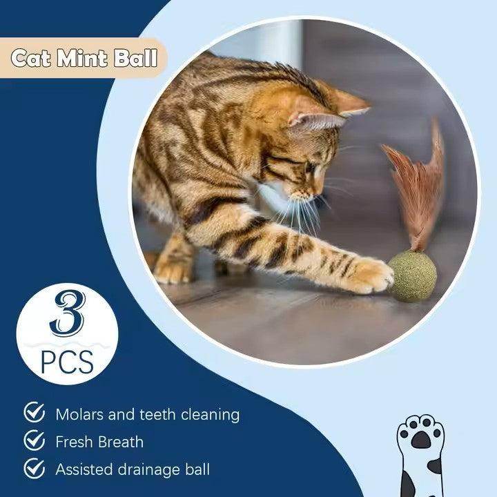 Feathered Catnip Mint Toys (3pc) - Simply Petastic