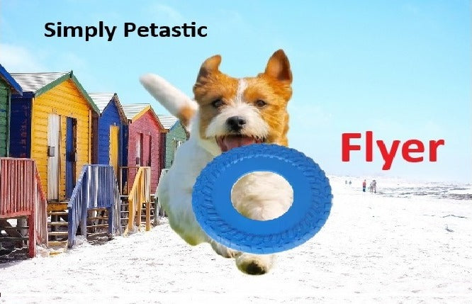 Outdoor Blue Dog Rubber Tire Flyer Dog Frisbee Fetch Toy