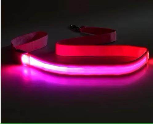 LED Rechargeable Dog Leash - Simply Petastic