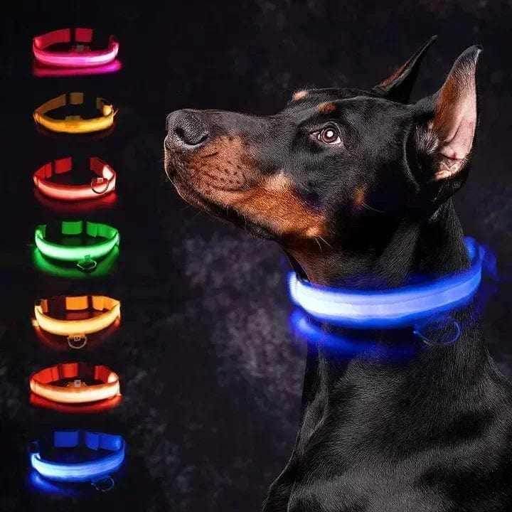 Rechargeable L.E.D Light Up Safety Dog Collar - Simply Petastic