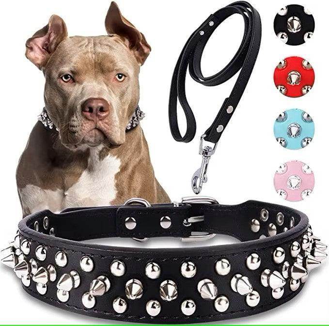 Spike Studded Dog Collar - Simply Petastic