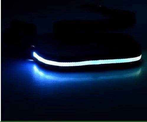 LED Rechargeable Dog Leash - Simply Petastic