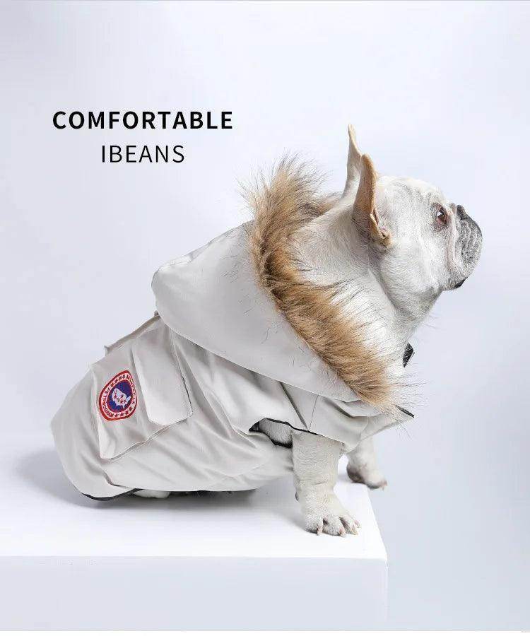 Winter Pet Jacket for Teddy Hoodie Cat Dog Coat - Simply Petastic