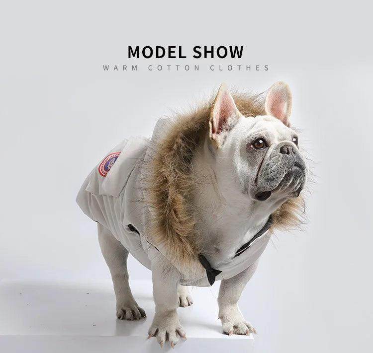 Winter Pet Jacket for Teddy Hoodie Cat Dog Coat - Simply Petastic