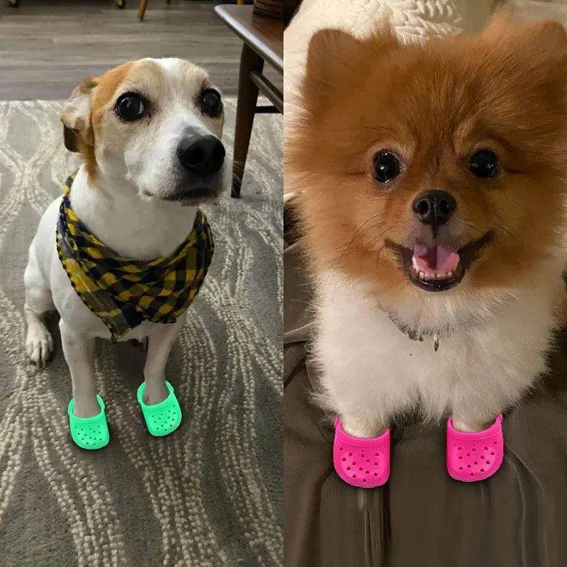 Clog Style Rubber Dog Shoes - Simply Petastic