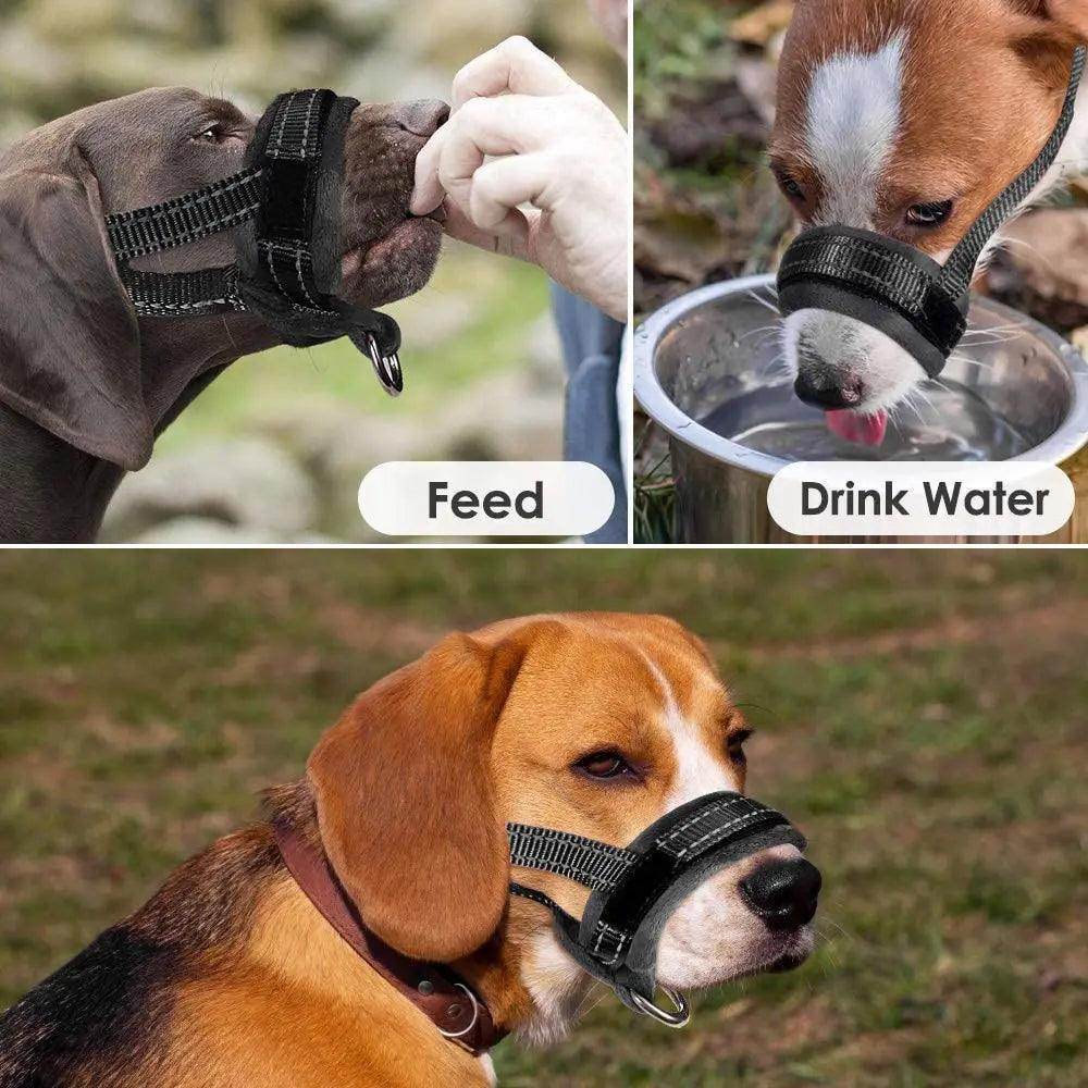 Adjustable Dog Muzzle for Safe, Calm Walks - Simply Petastic