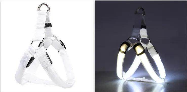L.E.D. Glow Dog Harness - Simply Petastic
