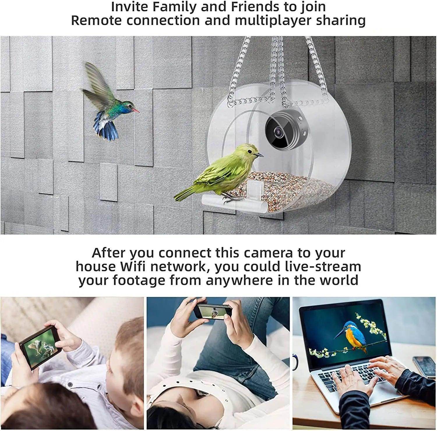 Smart Bird Feeder with WIFI Connected 1080P Real-time Viewing and Recording USB Charging Mini Camera Small Pet Supplies - Simply Petastic