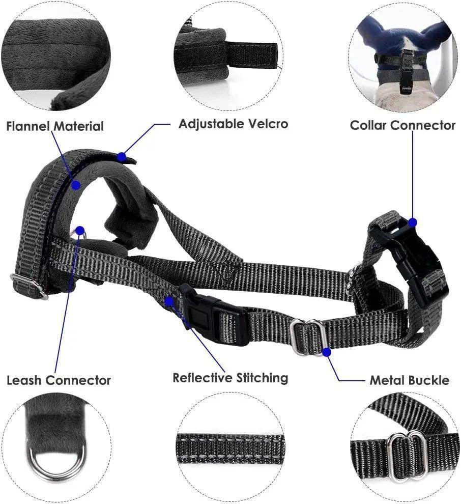 Adjustable Dog Muzzle for Safe, Calm Walks - Simply Petastic