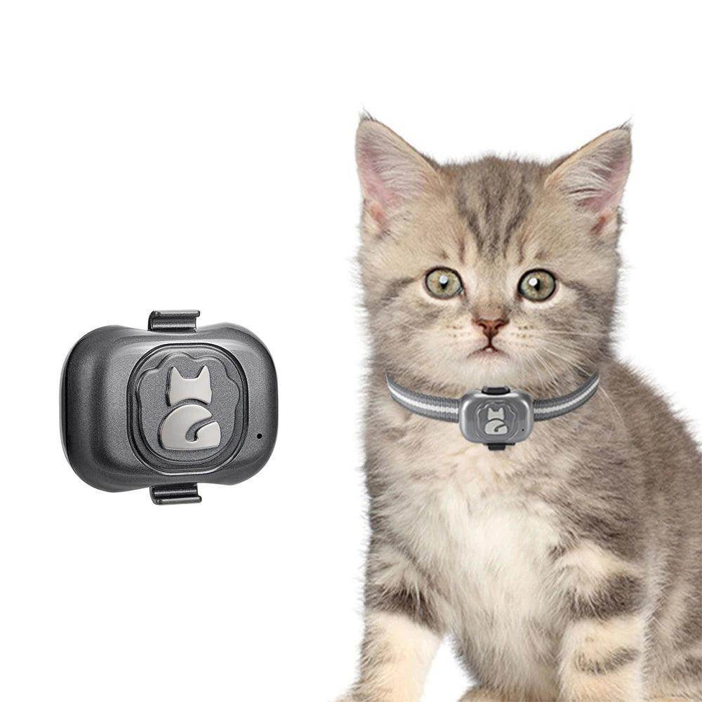 Rfid Pet Tag Animal Microchip with Gps Tracking Device - Simply Petastic