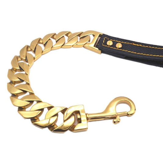 Stylish Gold Titanium Chains for Your Dog's Daily Walks - Simply Petastic