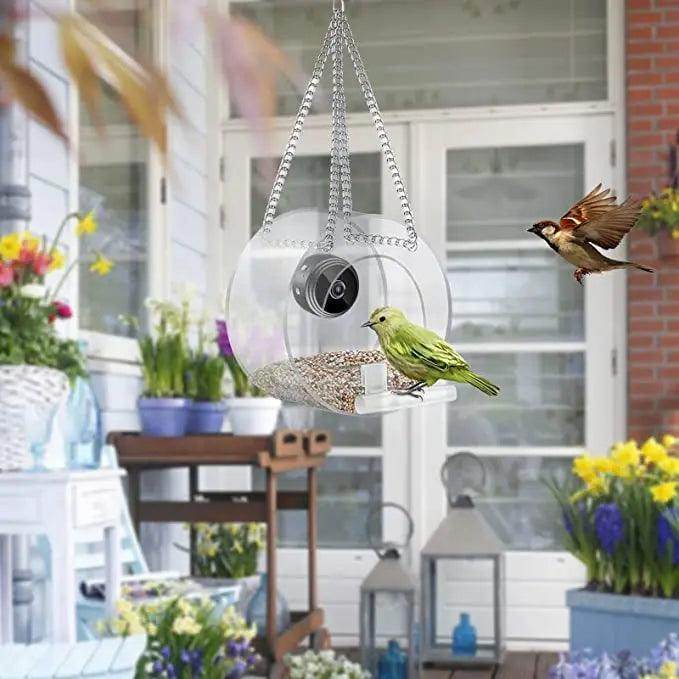 Smart Bird Feeder with WIFI Connected 1080P Real-time Viewing and Recording USB Charging Mini Camera Small Pet Supplies - Simply Petastic