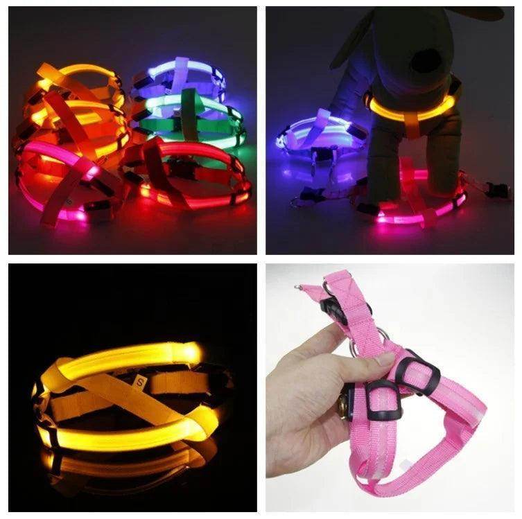 L.E.D. Glow Dog Harness - Simply Petastic