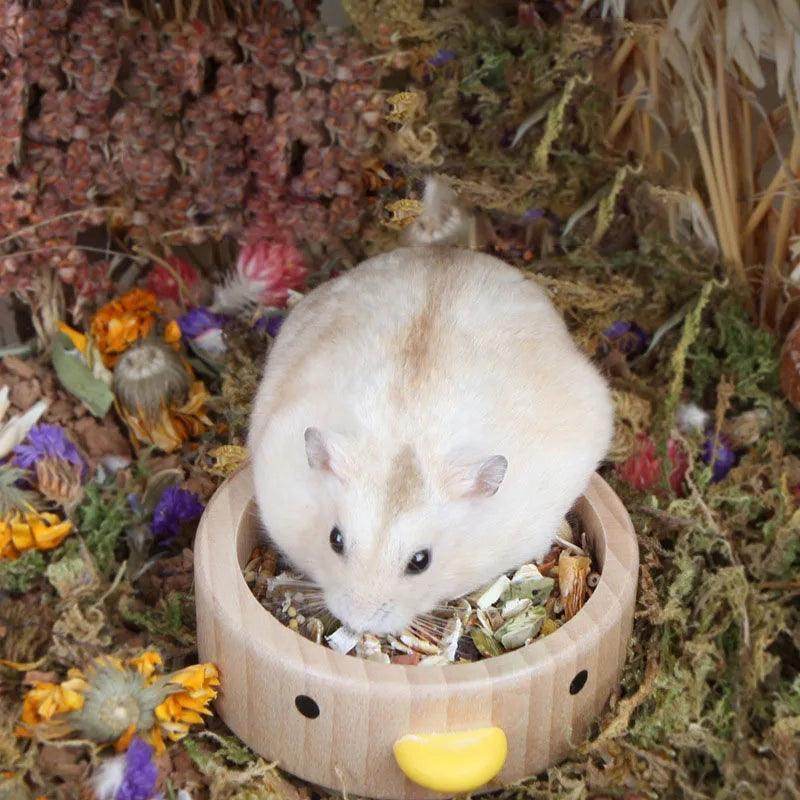 Non-slip Dish Wood Pet Bowl Drink Water for Hamster - Simply Petastic