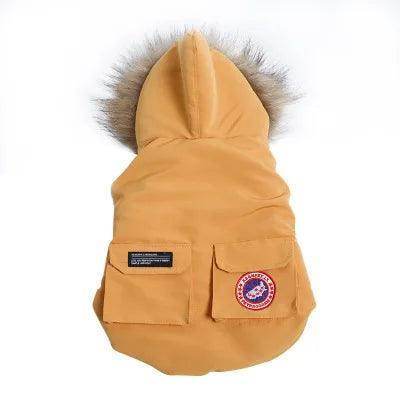 Winter Pet Jacket for Teddy Hoodie Cat Dog Coat - Simply Petastic
