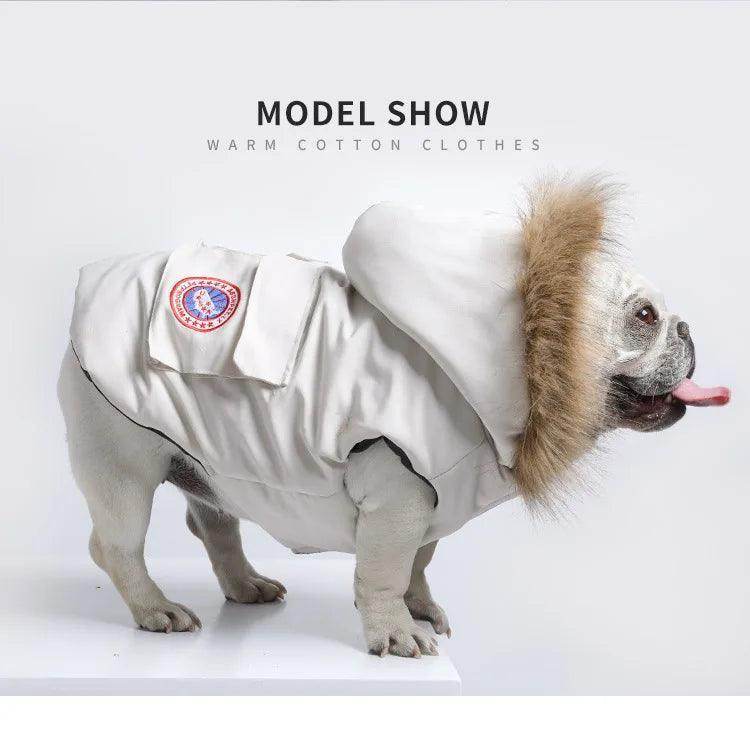 Winter Pet Jacket for Teddy Hoodie Cat Dog Coat - Simply Petastic