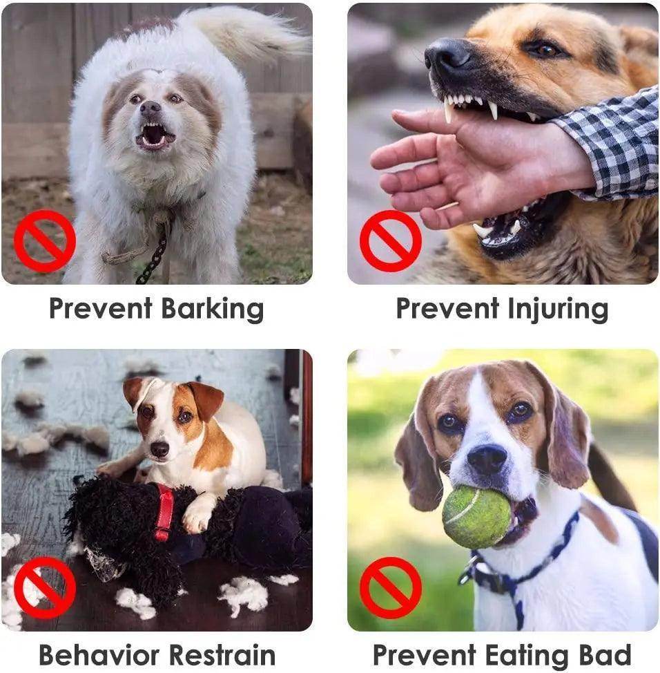 Adjustable Dog Muzzle for Safe, Calm Walks - Simply Petastic