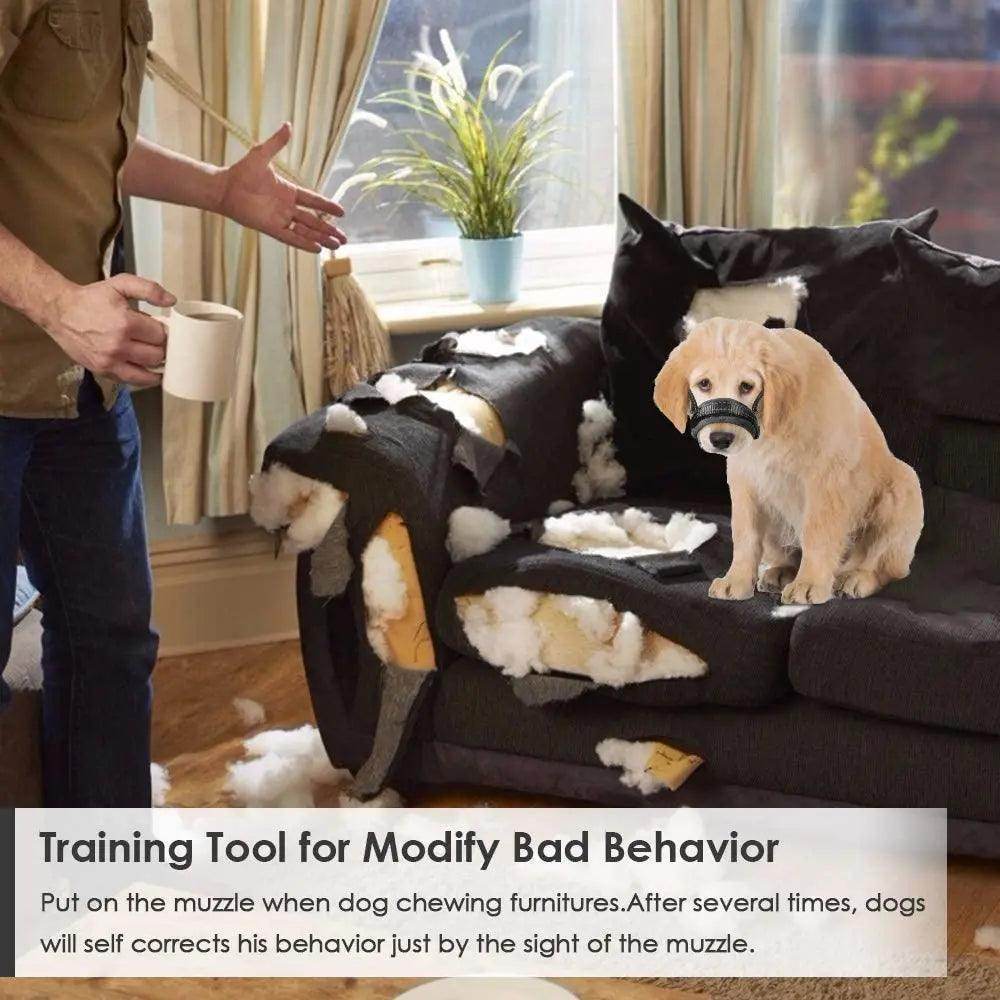 Adjustable Dog Muzzle for Safe, Calm Walks - Simply Petastic